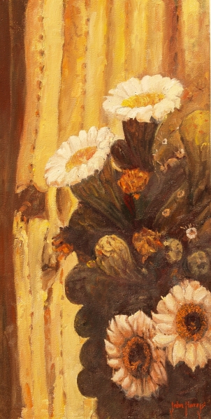 Click here to view Floral--Saguaro Blossoms by John Horejs
