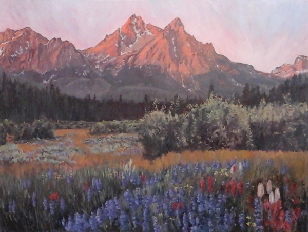 Click here to view Landscape--Sawtooth Wildflowers by John Horejs