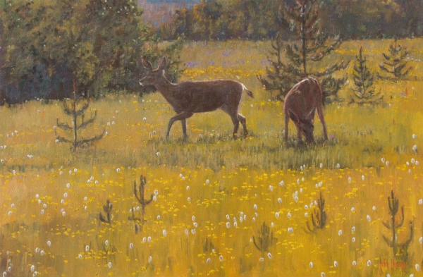 Click here to view Wildlife--Alturas Meadow by John Horejs