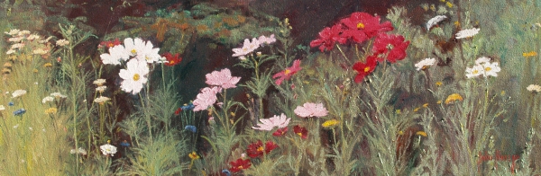 Floral--Forest Cosmos by John Horejs