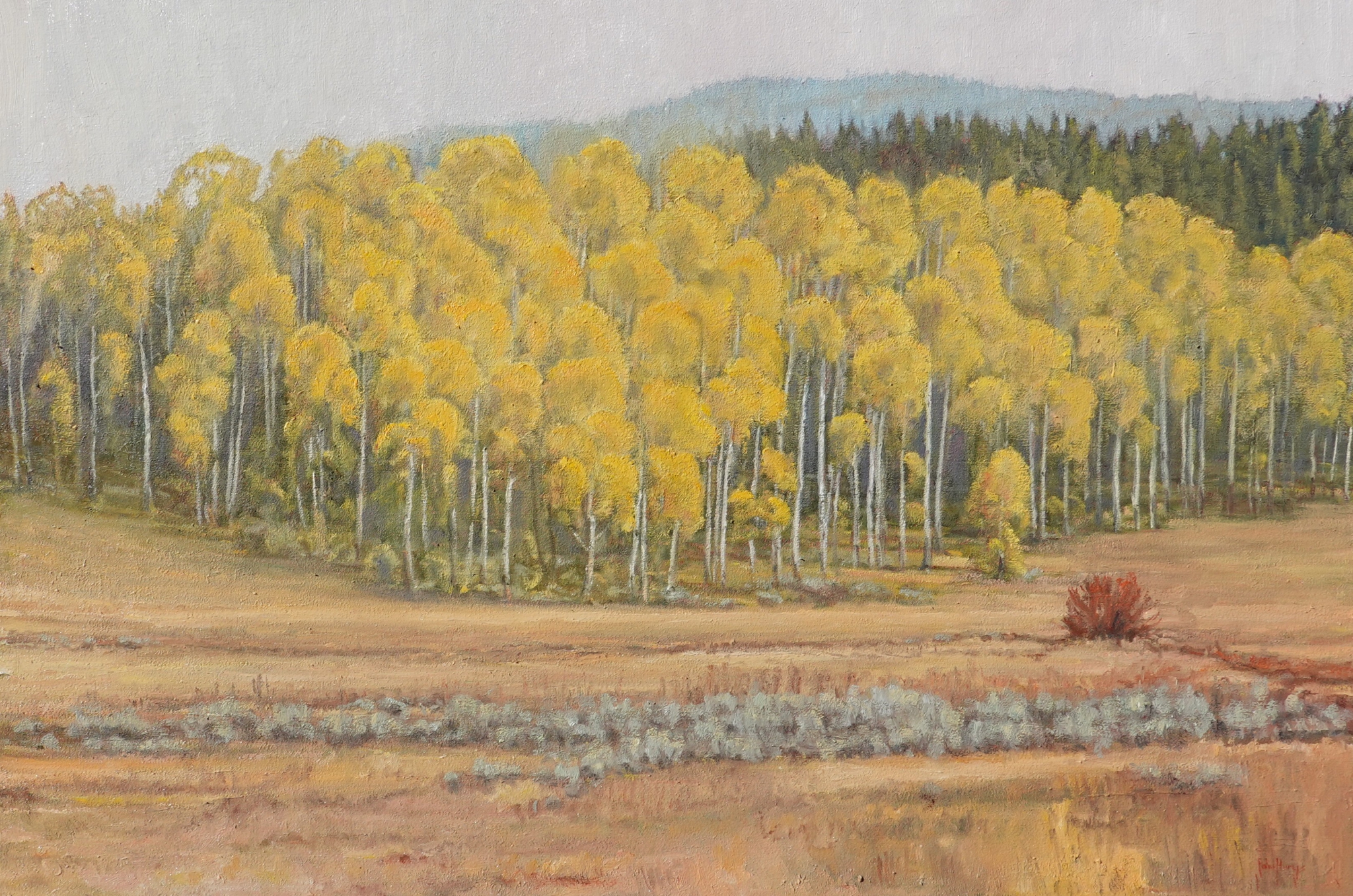 Click here to view Aspen Grove by John Horejs