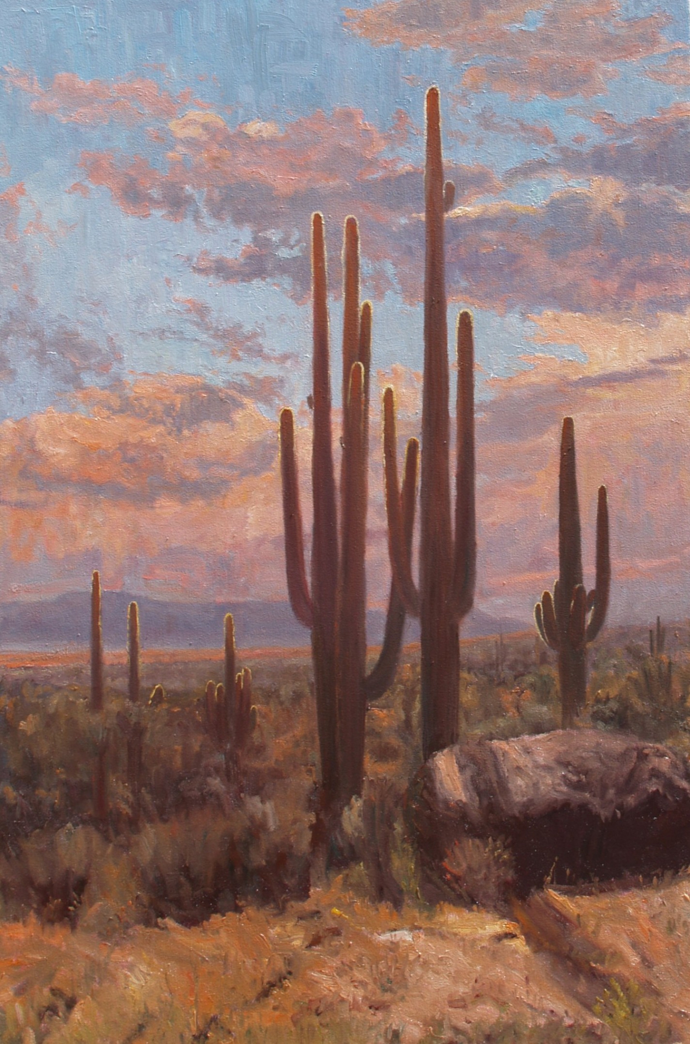 Click here to view Desertscape--Saguaro Shadows by John Horejs