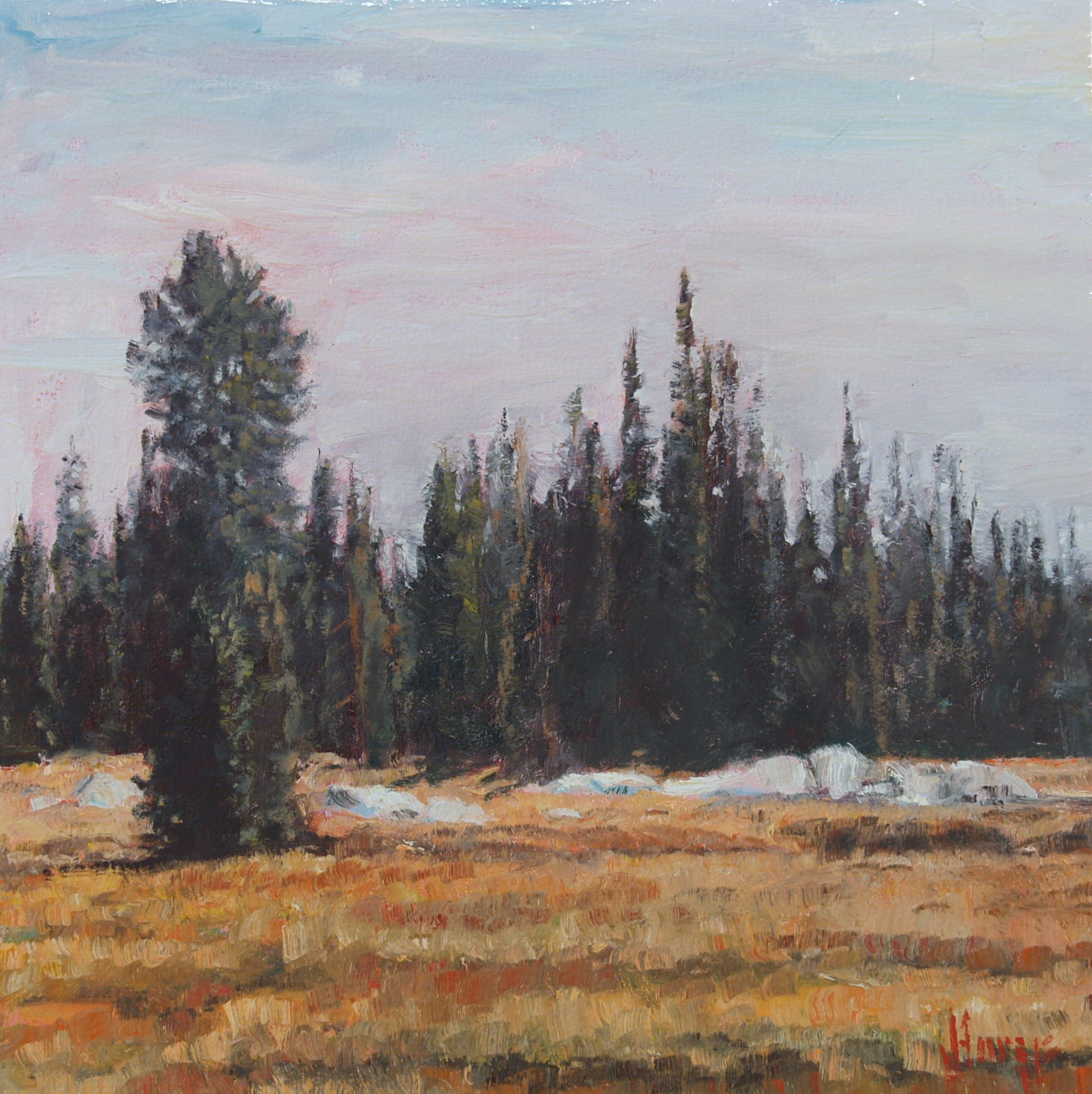 Trees--Rocky Meadow by John Horejs