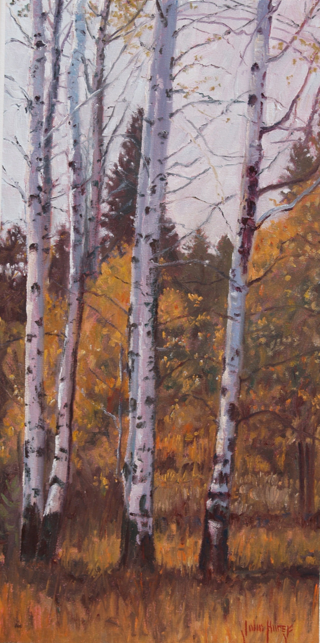 Click here to view Trees--Last Aspen Leaves by John Horejs