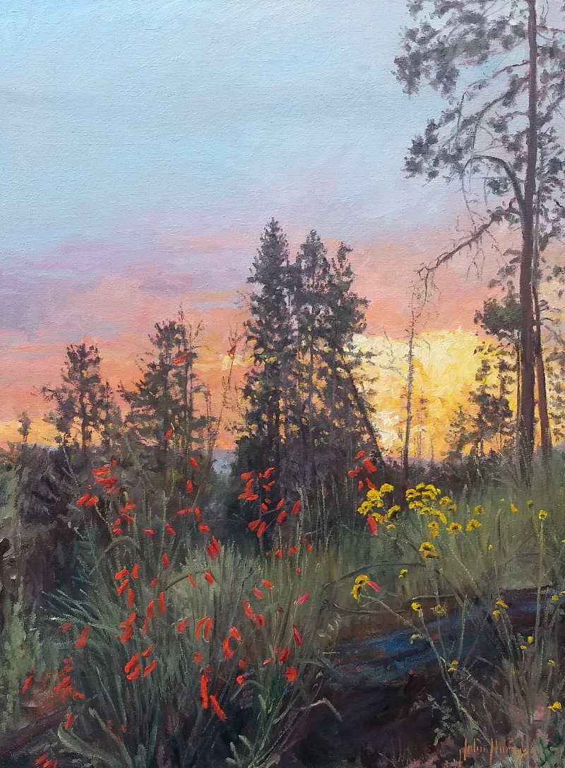 Click here to view Landscape--Vista Point Sunset by John Horejs