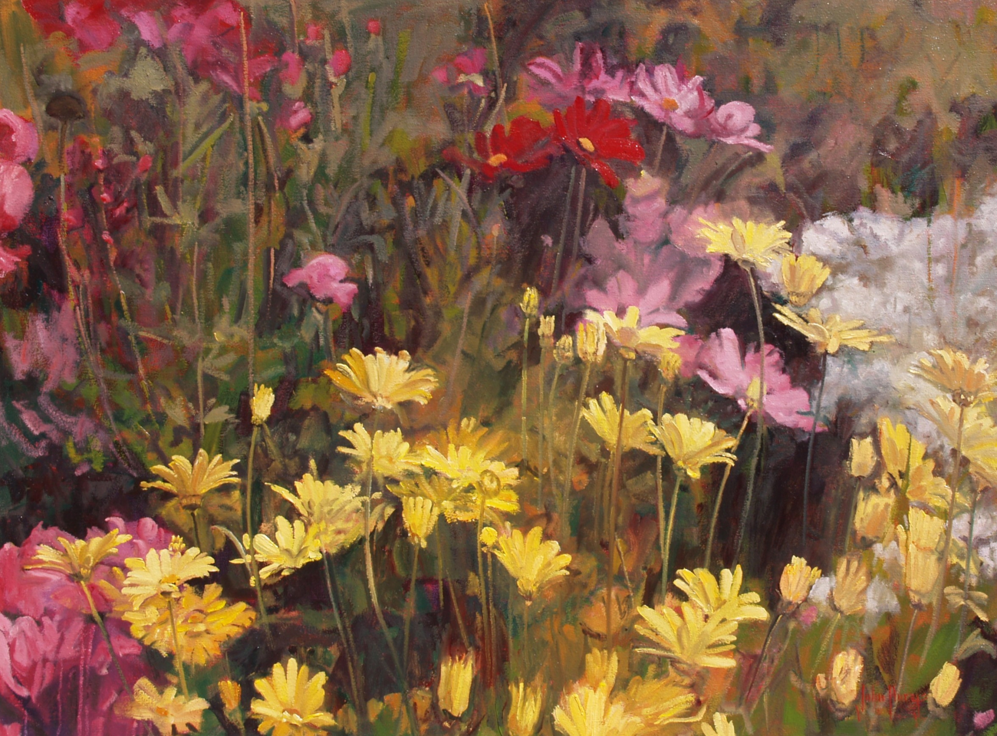 Click here to view Floral--Cosmos and Yellow Daisies by John Horejs
