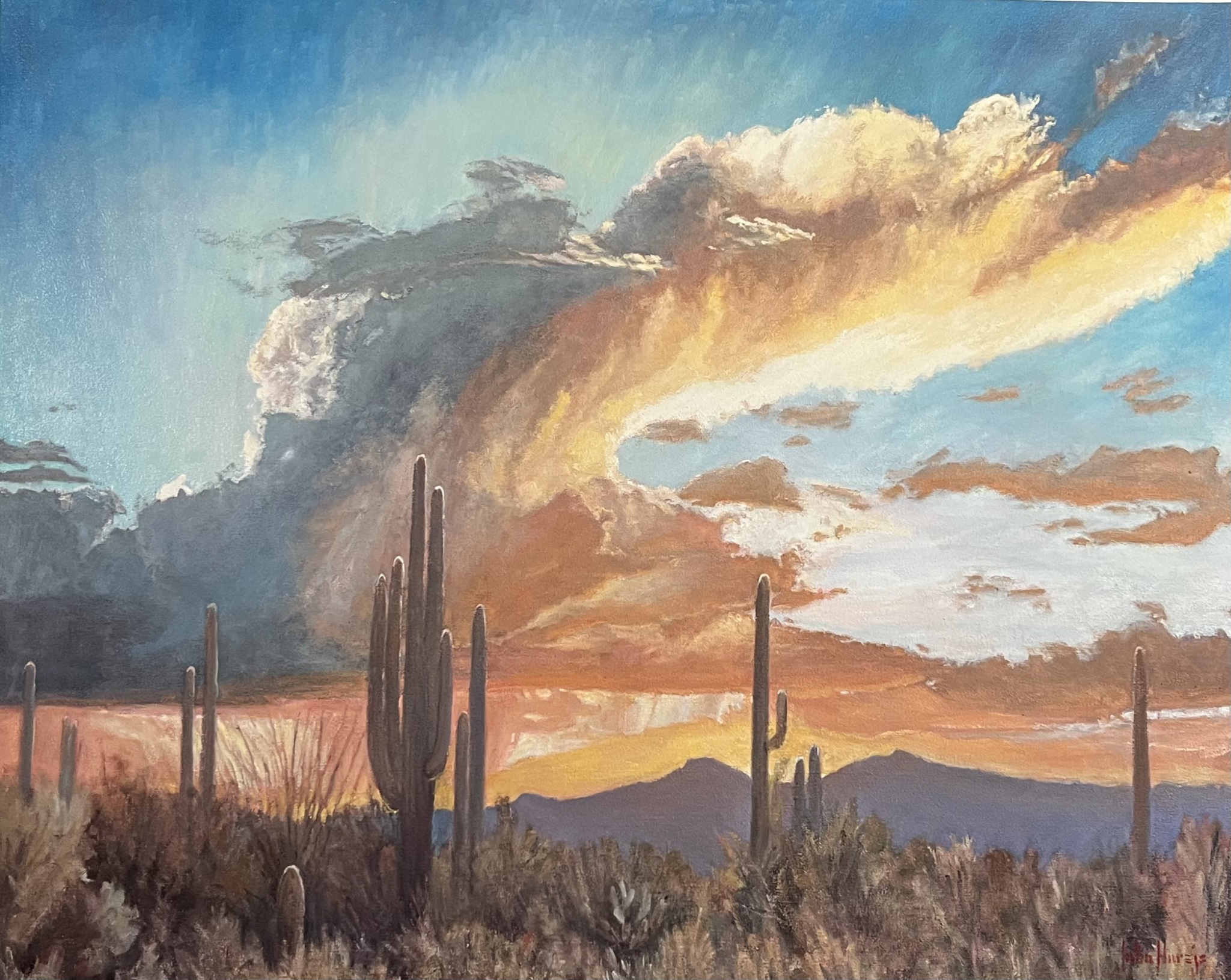 Click here to view Desertscape--Monsoon Sunset by John Horejs