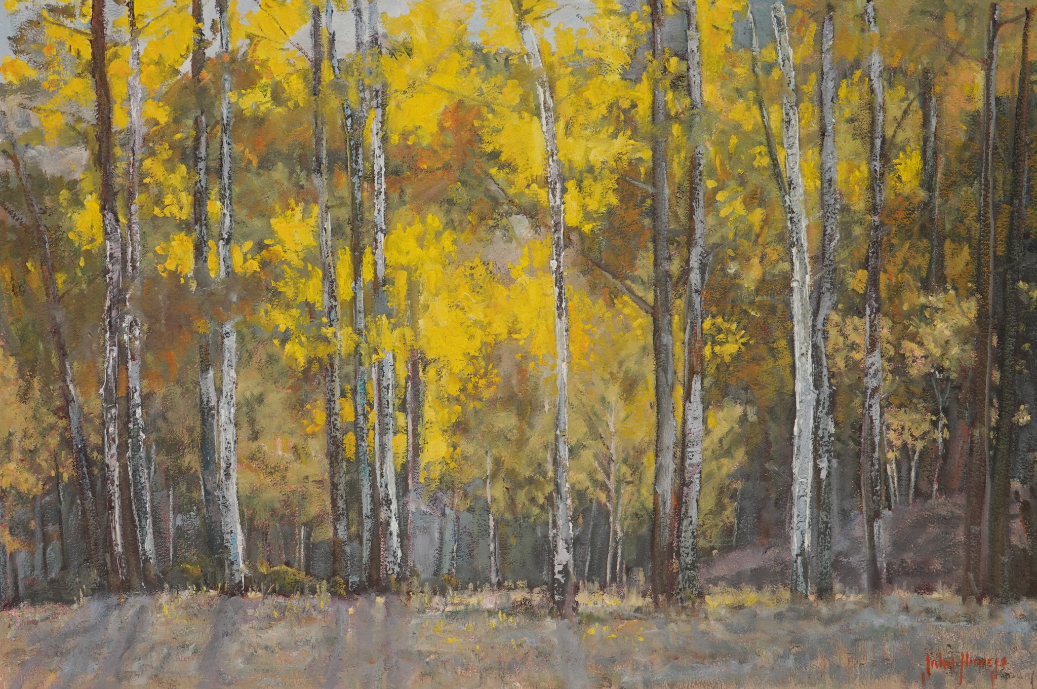 Click here to view Trees--Hillside Grove by John Horejs