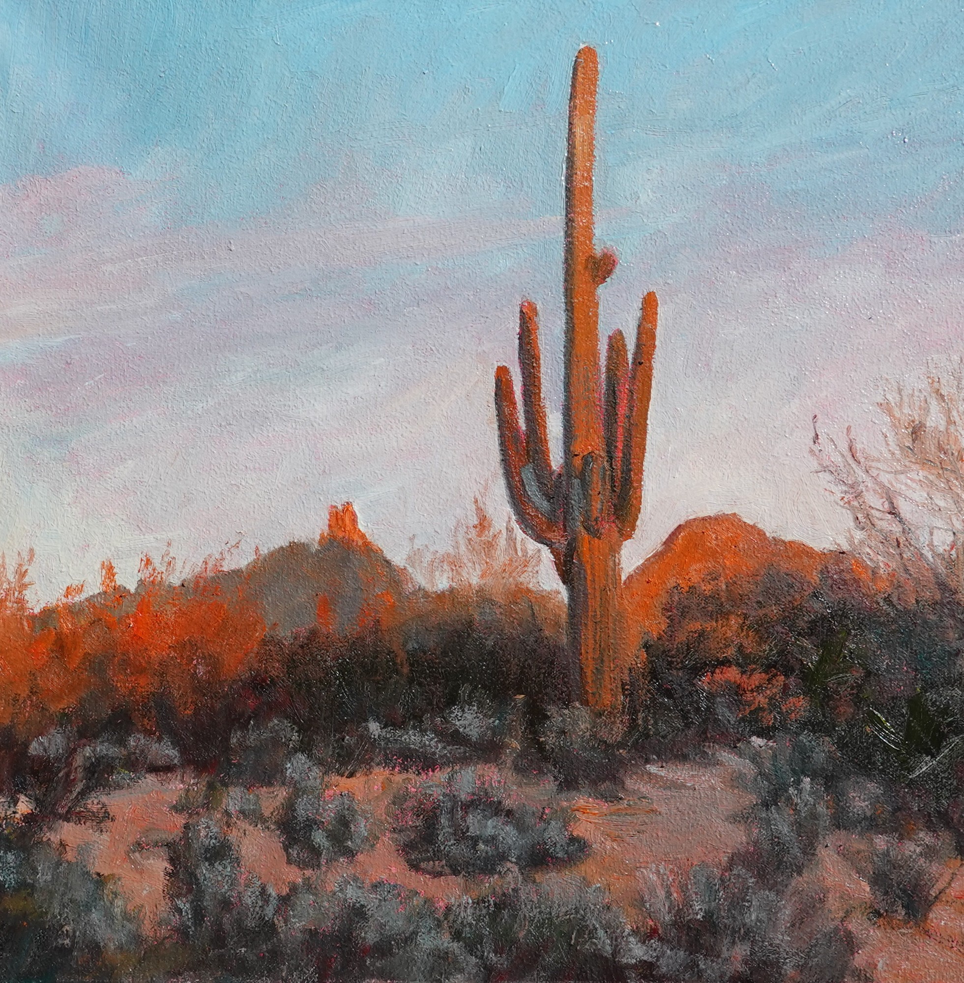 Click here to view Desertscape--Desert Glow by John Horejs