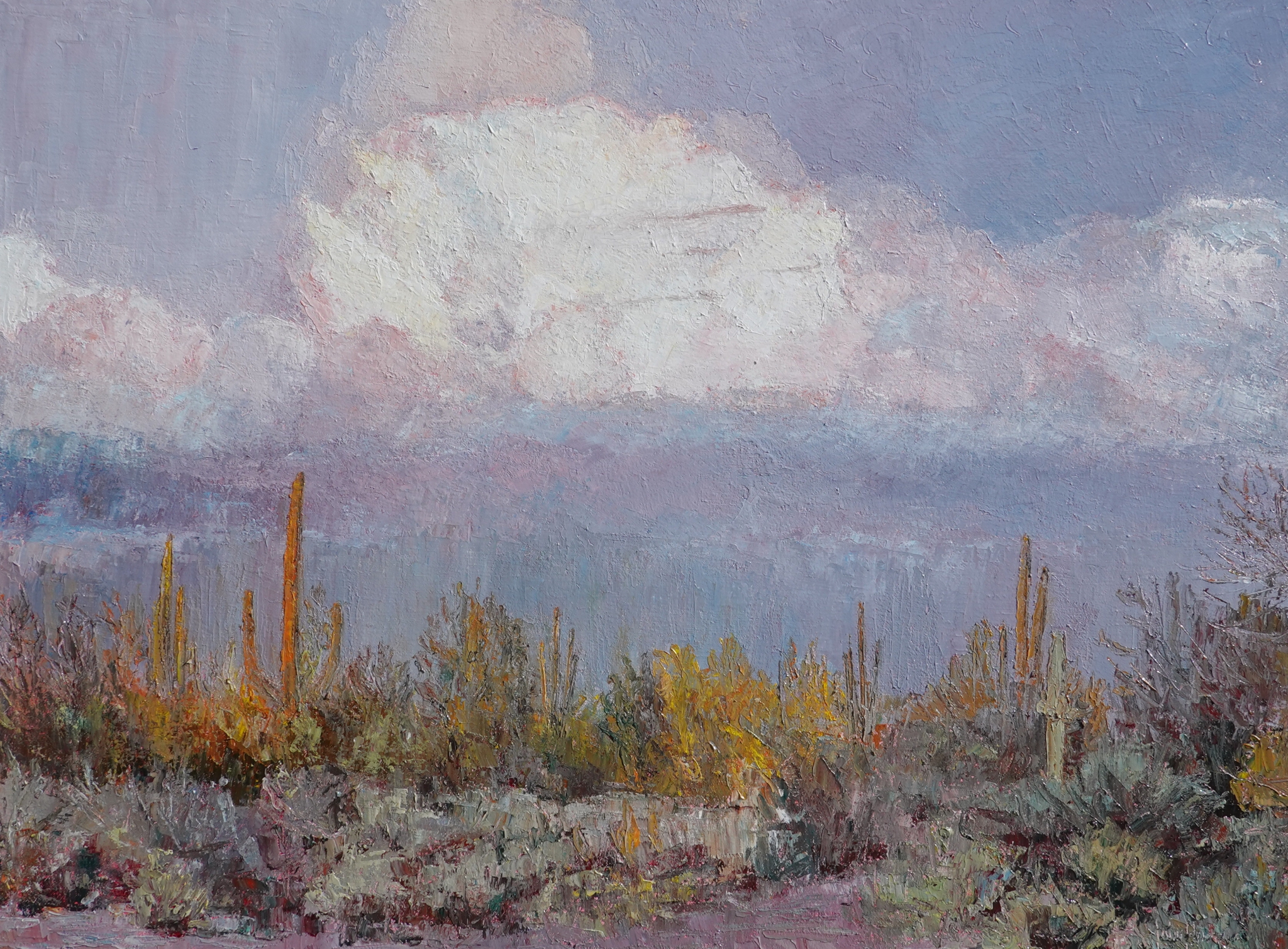 Click here to view Desert Grandeur by John Horejs