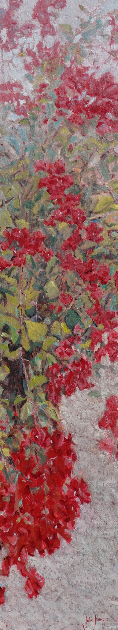 Click here to view Floral--Bougainvillea by John Horejs