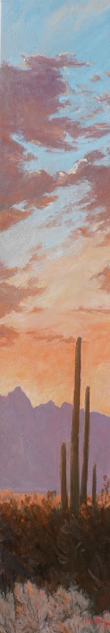 Click here to view Desertscape--Desert Sunset Glow I by John Horejs