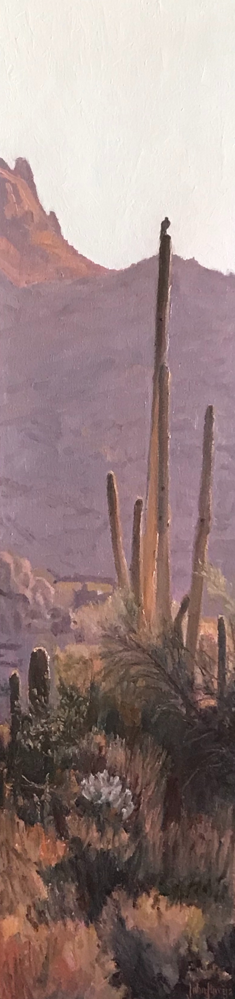 Click here to view Desertscape--Keeping Watch by John Horejs