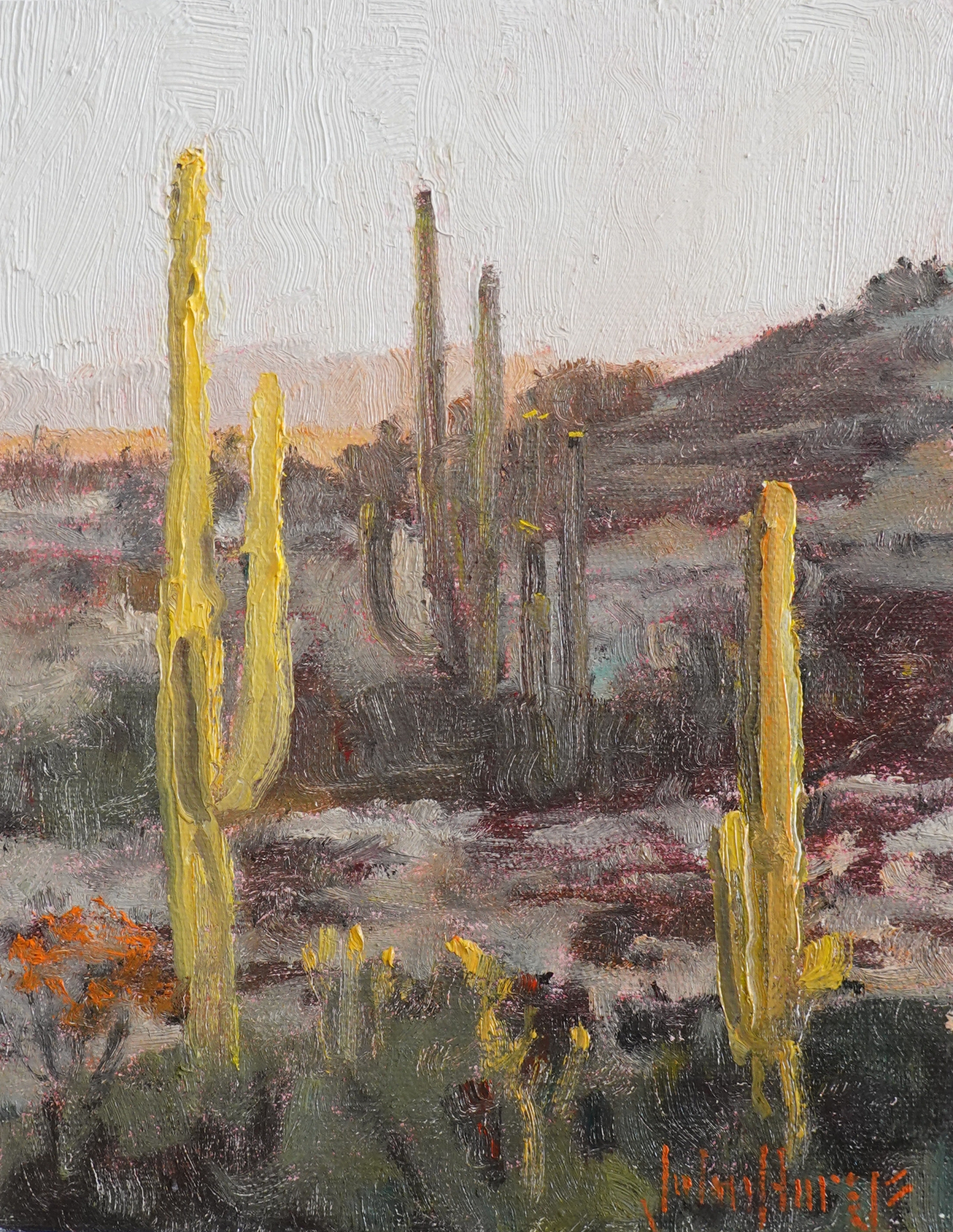 Click here to view Desertscape--Desert Light by John Horejs