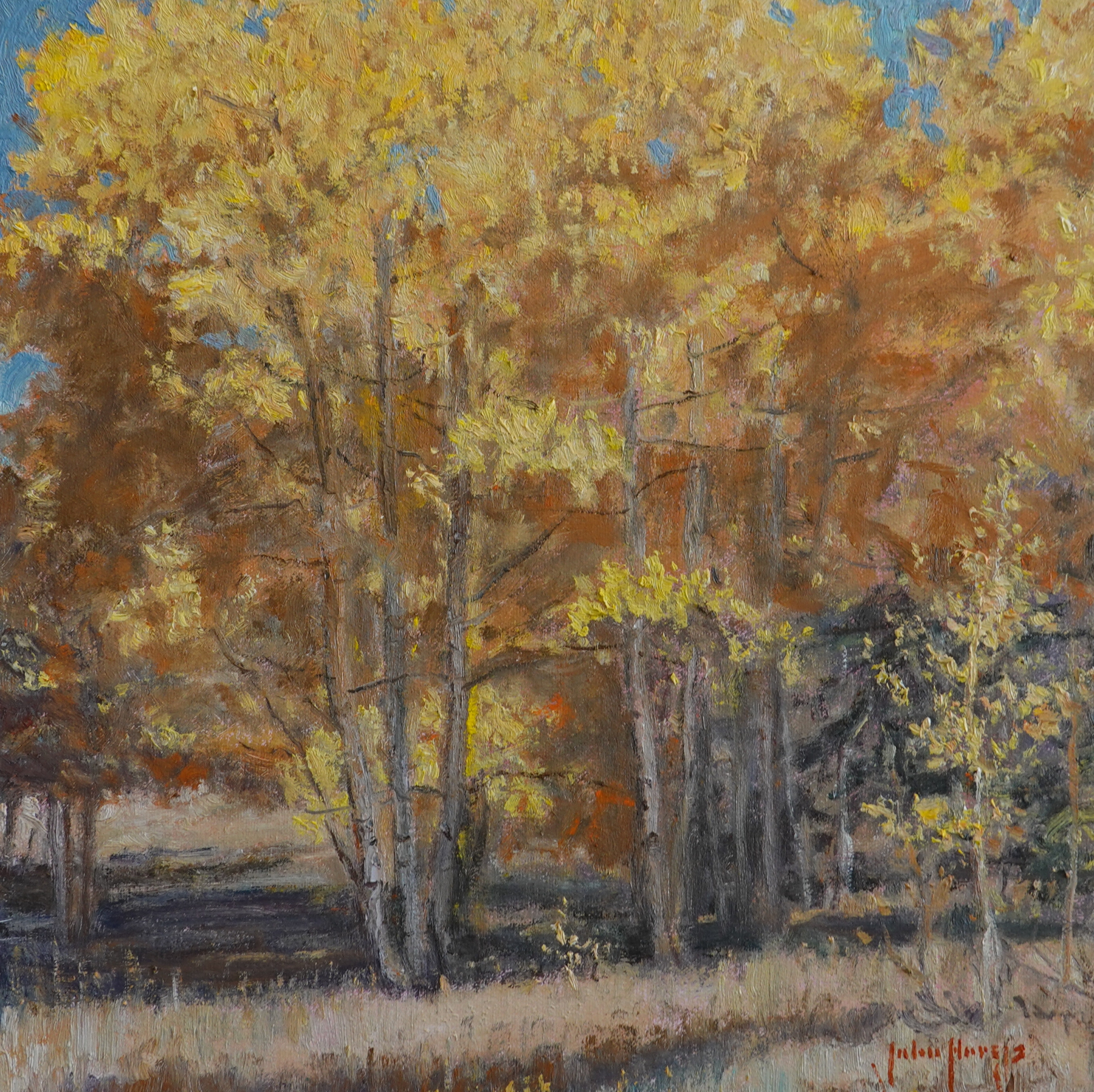 Click here to view Oak Creek Aspens by John Horejs