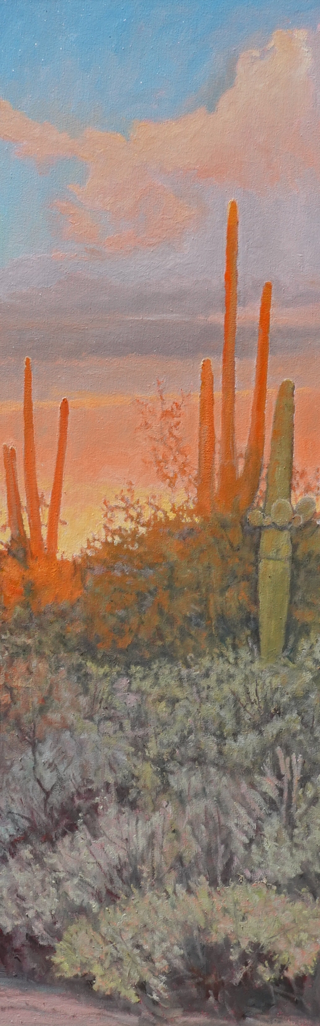 Click here to view Desertscapes--Sonoran Colors I by John Horejs