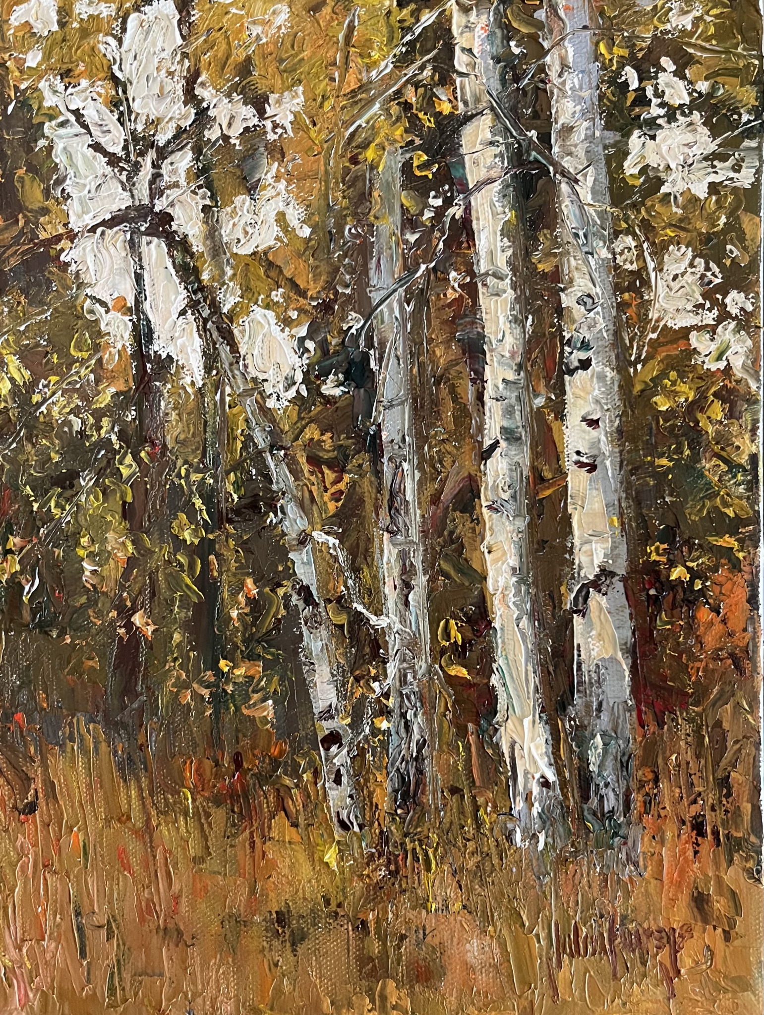 Click here to view Trees--Fall Colors by John Horejs