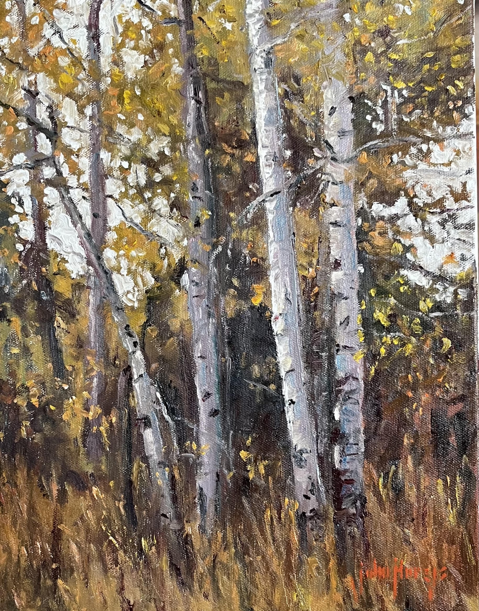 Click here to view Trees--Idaho Autumn by John Horejs