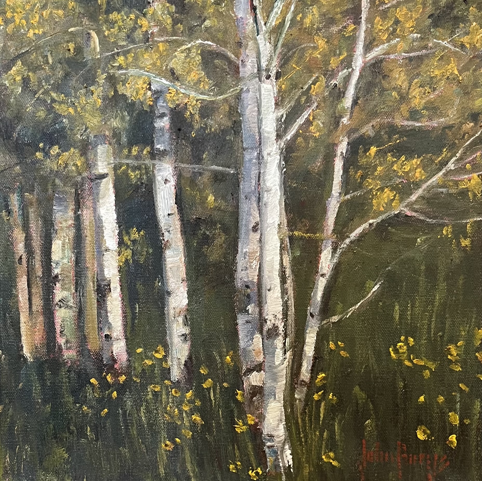 Click here to view Summer Aspen Grove by John Horejs