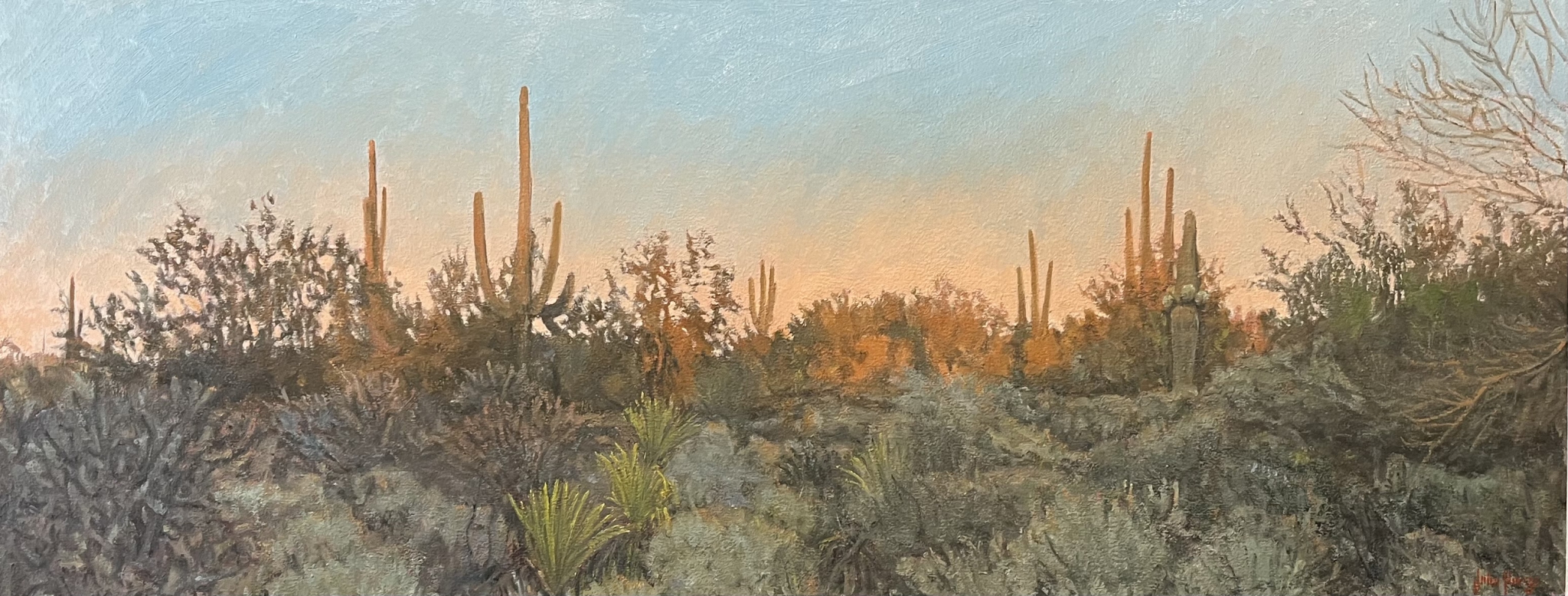 Click here to view Desertscape--Desert Evening Light by John Horejs
