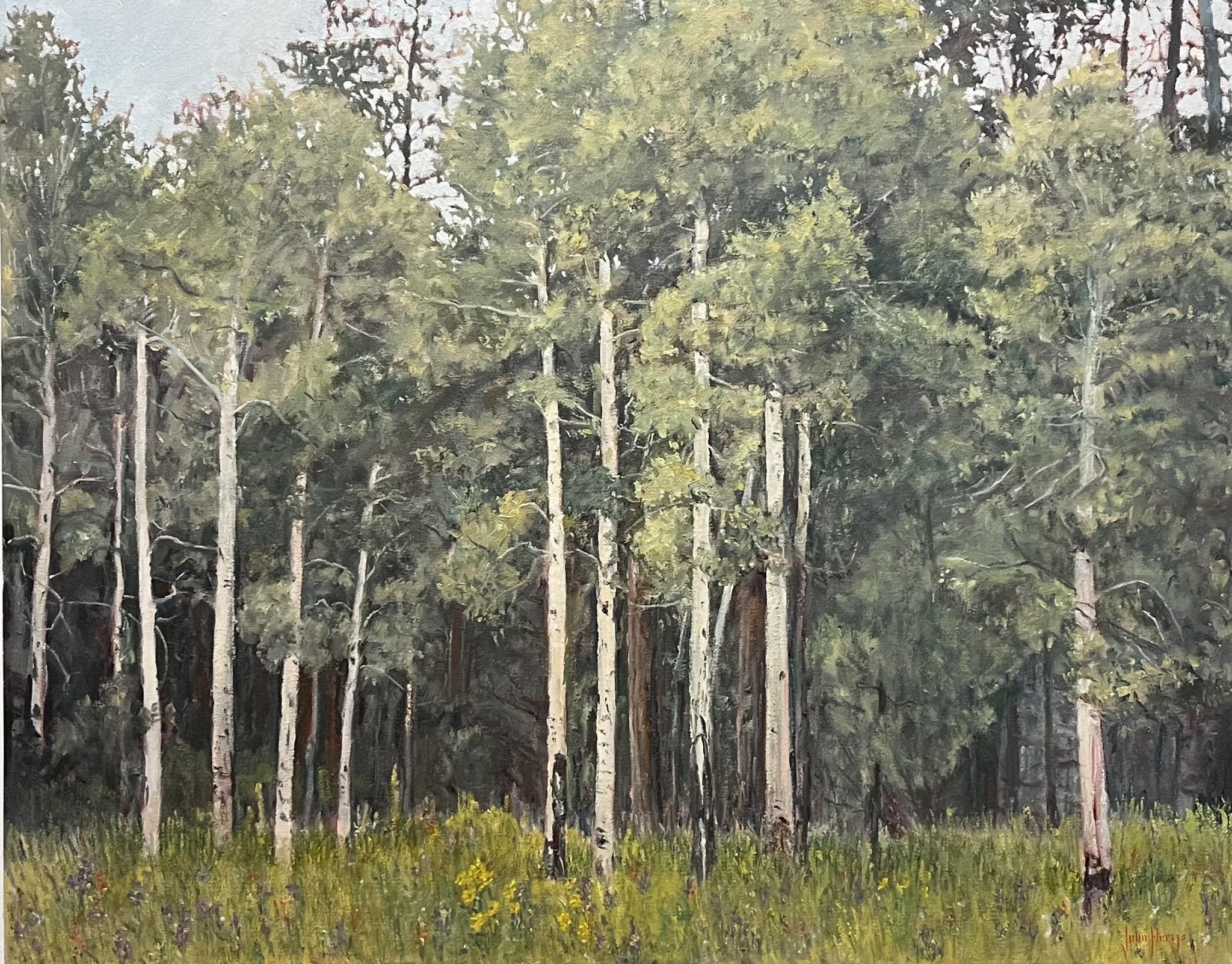 Click here to view Aspen Glow by John Horejs