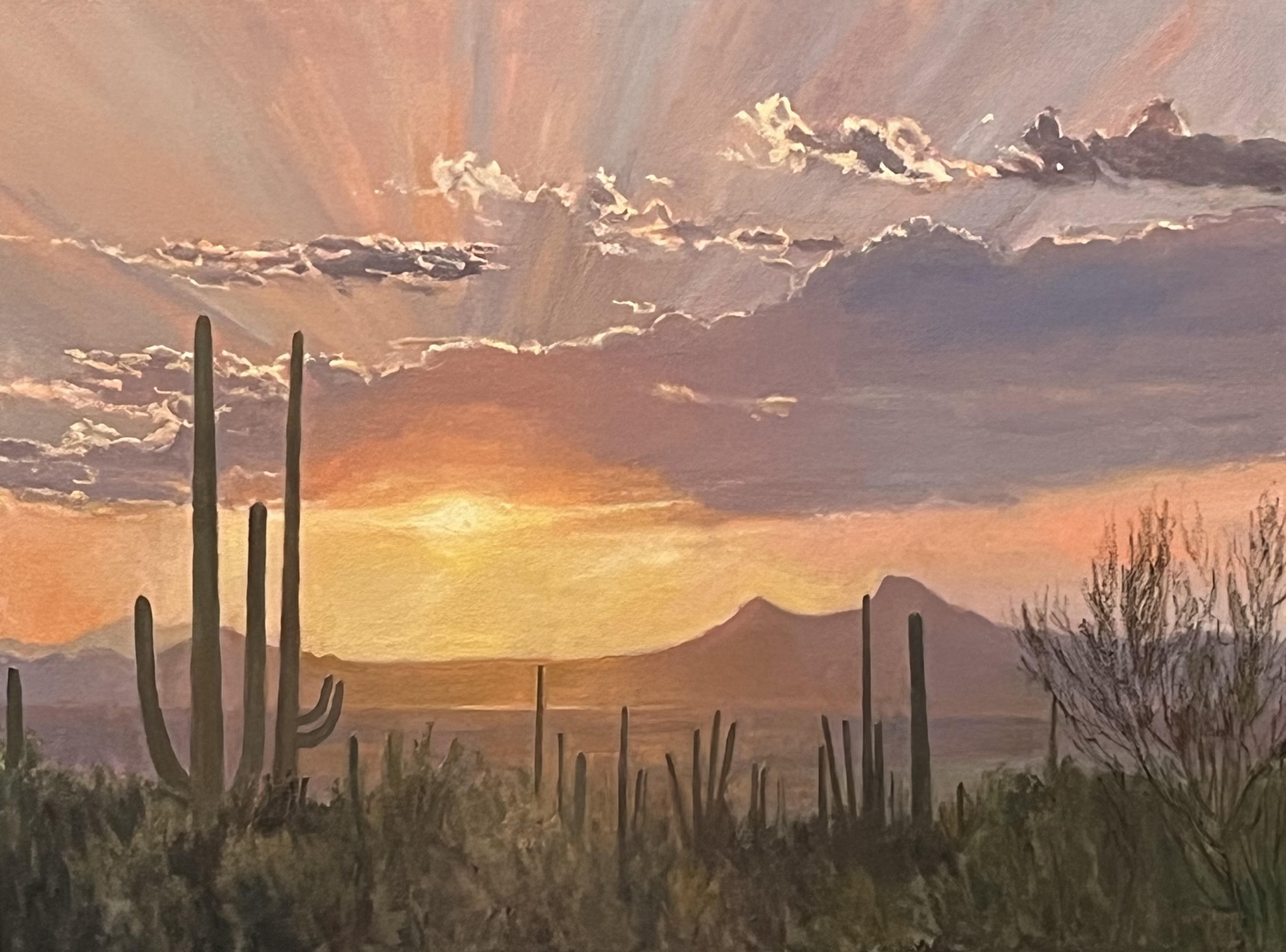 Click here to view Desertscapes--Desert Sunset Serenity by John Horejs