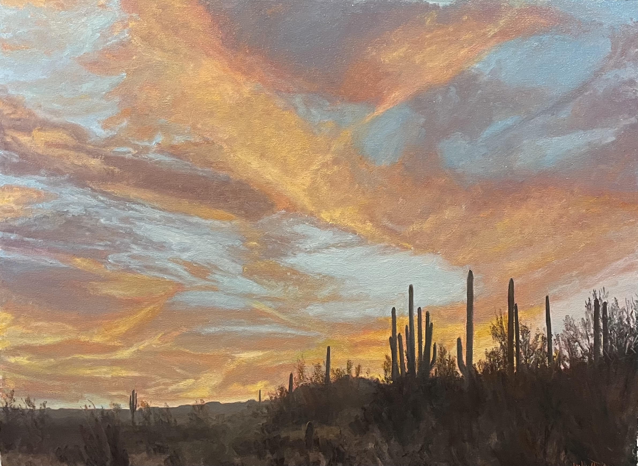 Click here to view Desertscape--Arizona Evening Glow by John Horejs