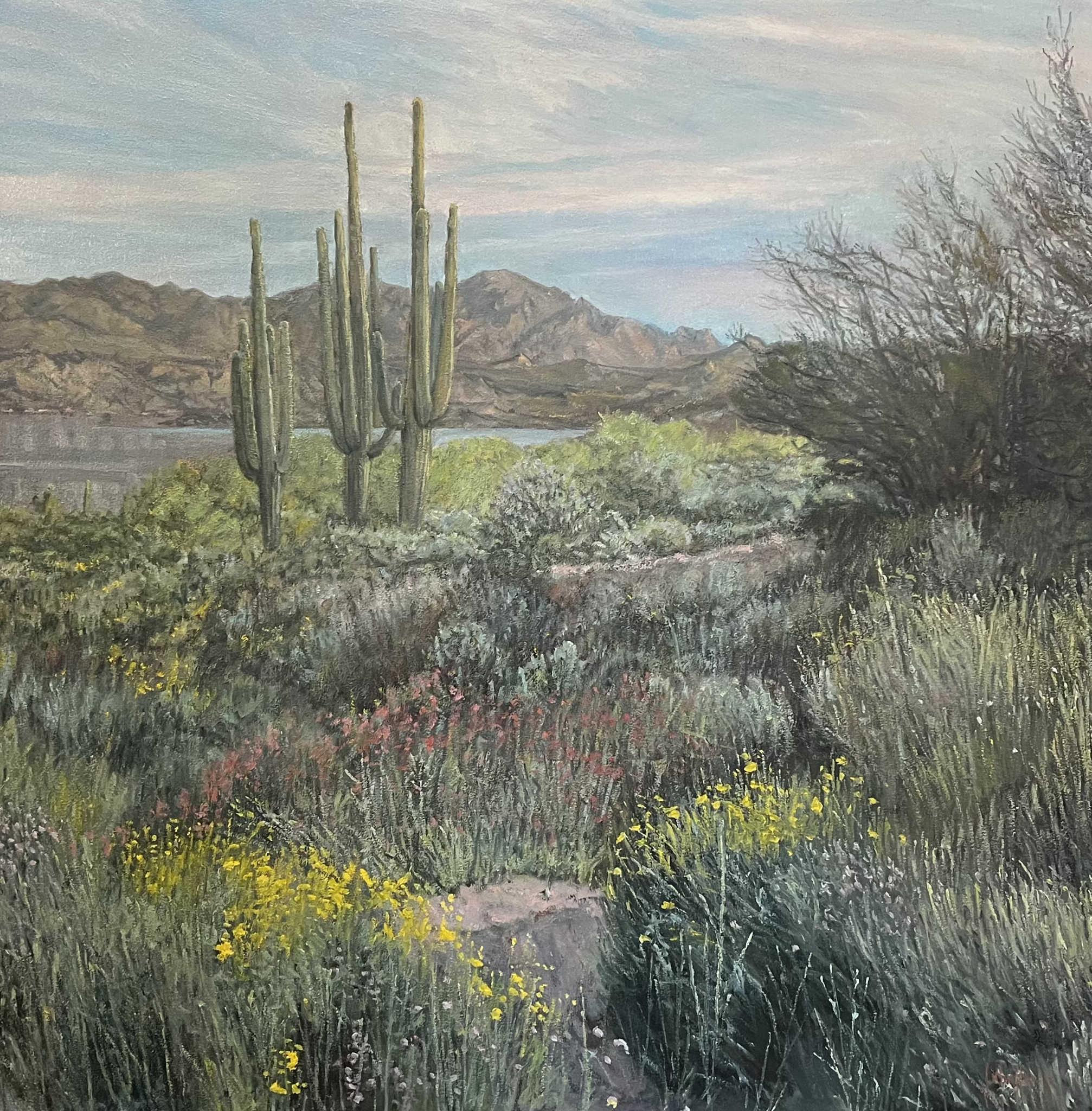 Click here to view Desertscape--The Blooming Desert by John Horejs