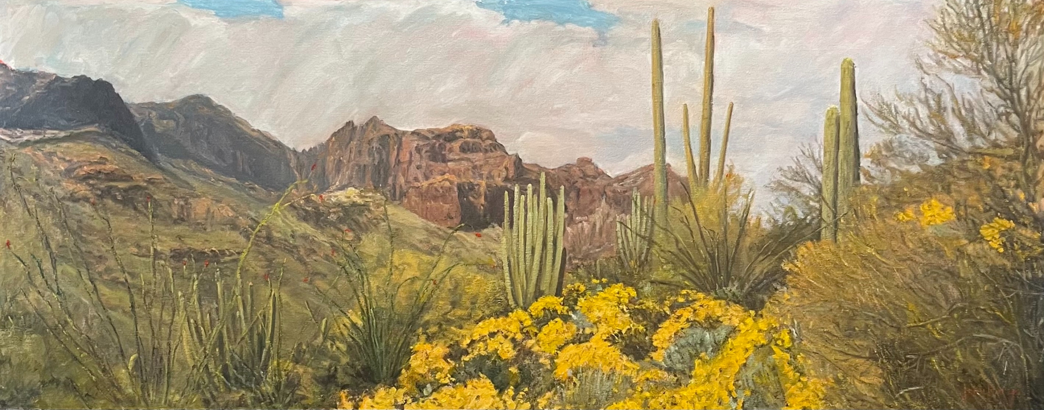 Sonoran Desert in Bloom by John Horejs