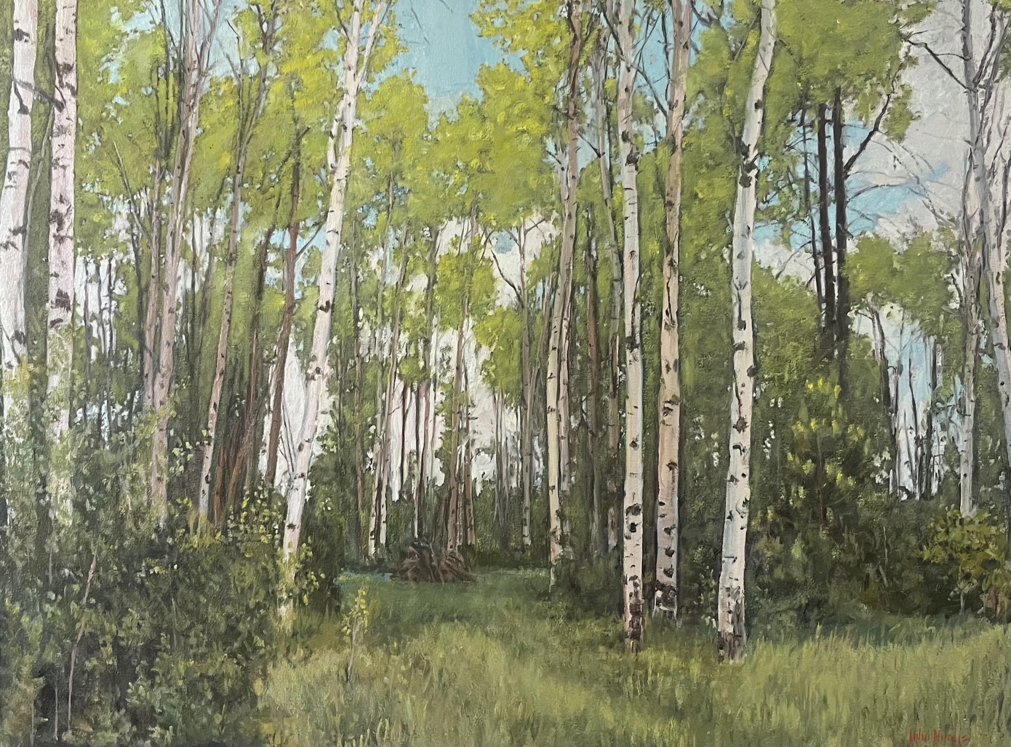 June Birch Forest by John Horejs