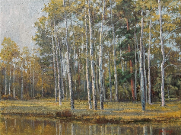 Click here to view Trees--Birches in Summer Light by John Horejs