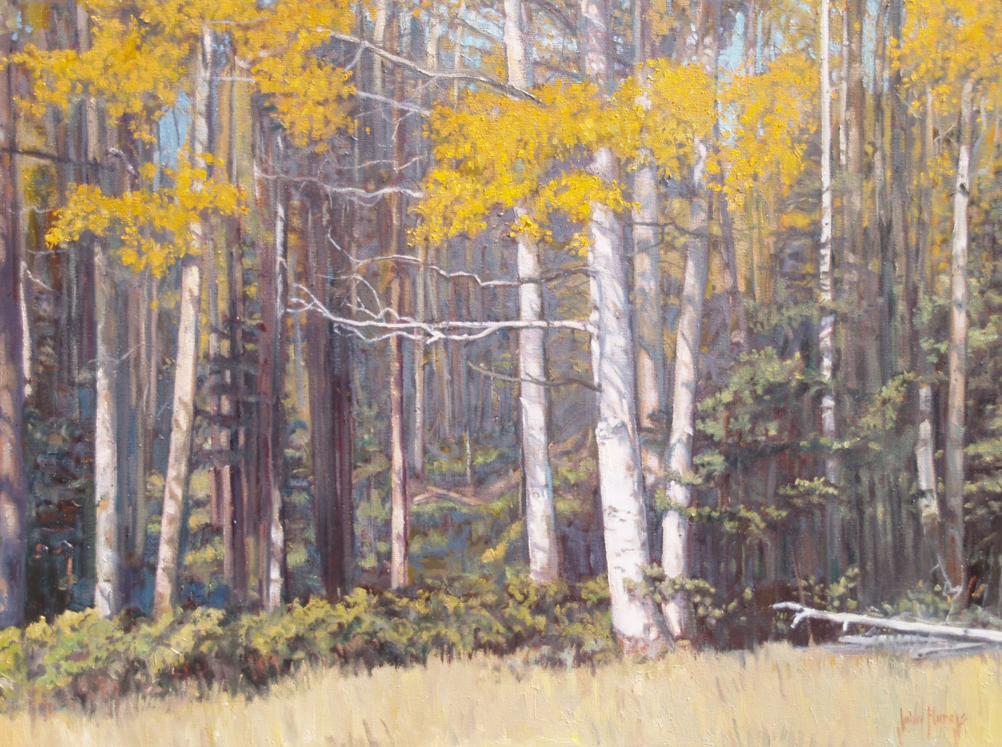 Click here to view Trees--Autumn Shadows by John Horejs